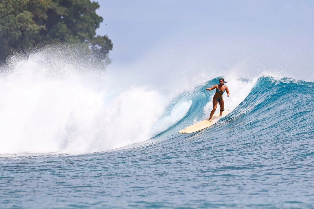 Boardsox Welcomes Queen Kirra