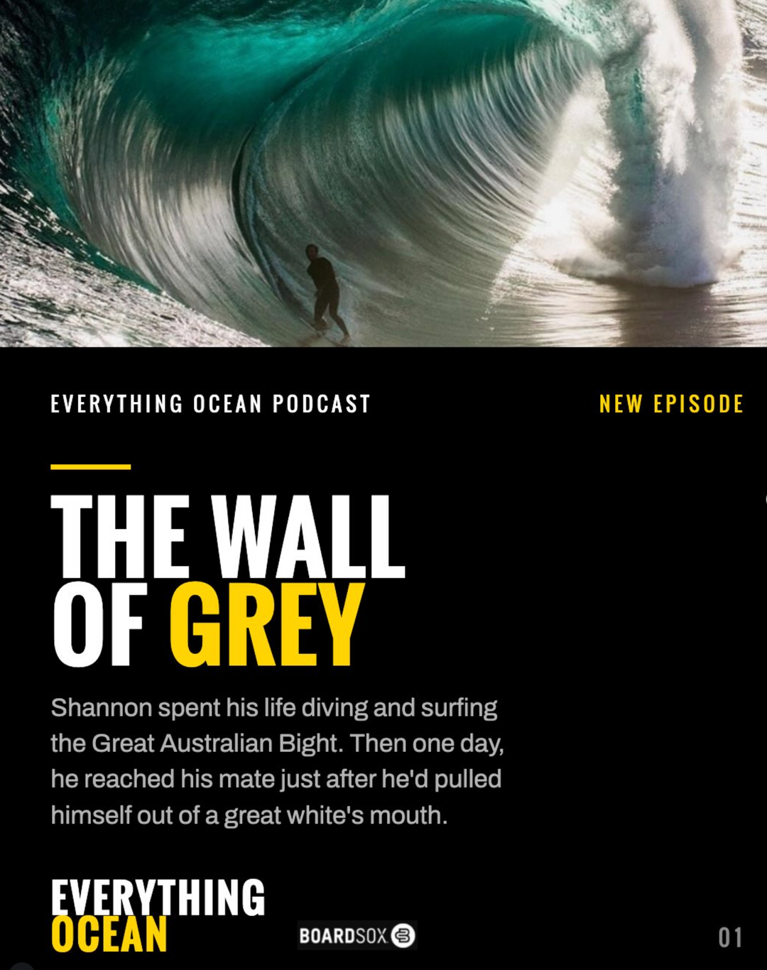 Shark series part 5: He Helped Save His Mate From a Great White. Then He Built Shark Eyes